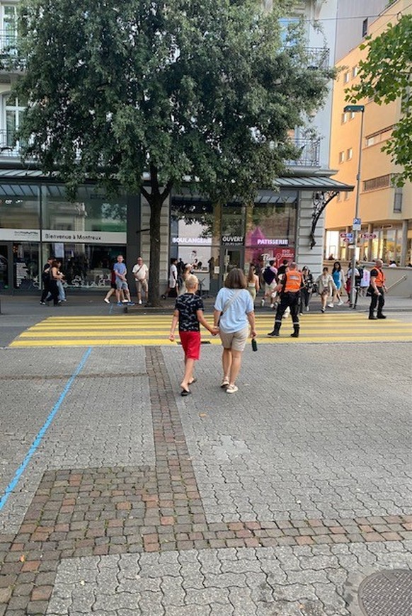 Le passage piéton de l&#039;Avenue des Alpes.
