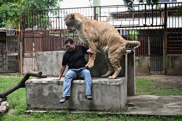 Le Tiktoker Tharnuwarht Plengkemratch et Big George.