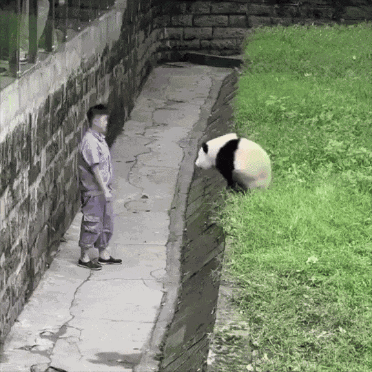 GIF animé
