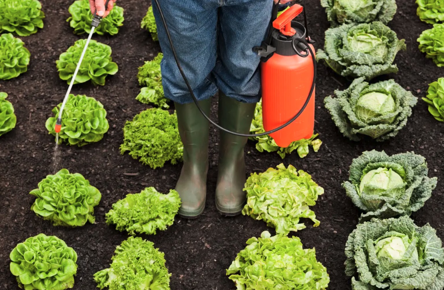 Pesticide dans l&#039;agriculture suisse
