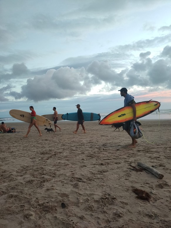 La plage de Santa Teresa est remplie de surfers et de chiens.