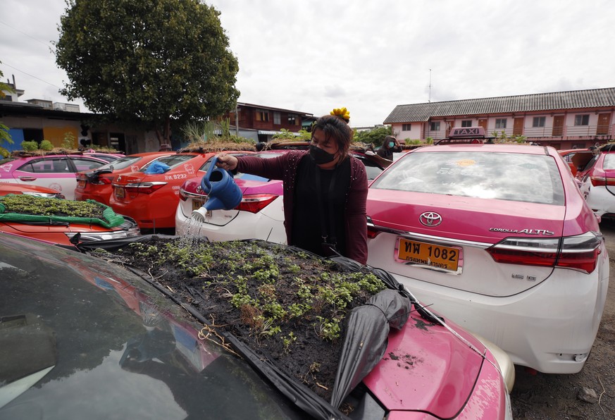 A Bangkok, une chauffeuse de taxi arrose les plantes de son taxi transformé en potager, faute de clients.