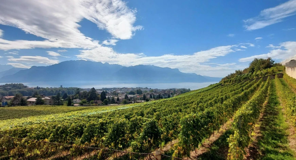 Claudio a profité de paysages somptueux le long de sa route. Ici, les vignes au-dessus de Vevey.