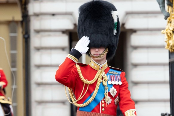 Les bonnets de la Garde royale britannique ont un problème.