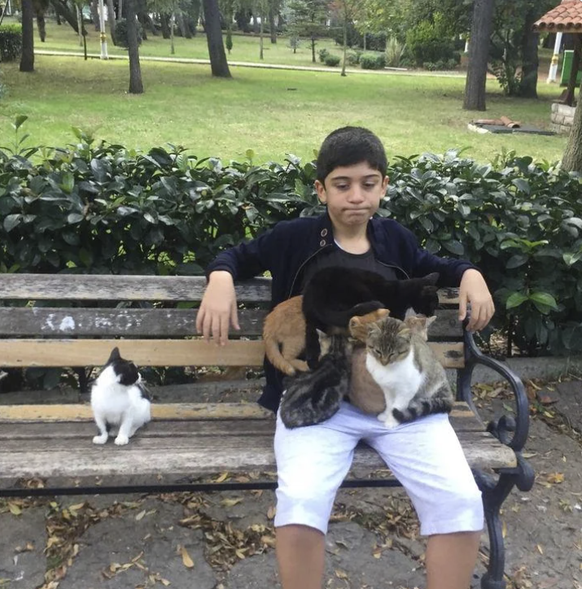 Die lustigsten fails der Woche: Bub mit Katzen