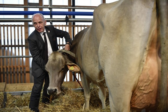 Bundesrat Ueli Maurer streichelt eine Kuh an der offiziellen Eroeffnung der OLMA Schweizer Messe fuer Landwirtschaft und Ernaehrung, am Donnerstag, 13. Oktober 2016, in St. Gallen. Die OLMA mit Ehreng ...