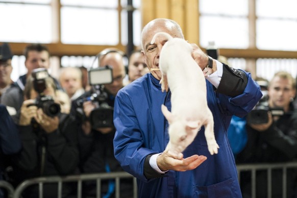 Bundespraesident Ueli Maurer posiert mit einem Schweinchen an der offiziellen Eroeffnung der Olma am Donnerstag, 10. Oktober 2013, in St. Gallen. (KEYSTONE/Ennio Leanza)