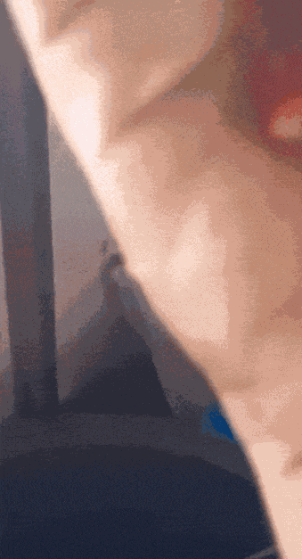 GIF animé
