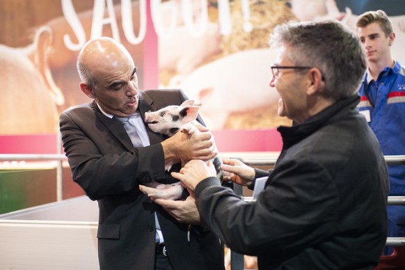 Bundesrat Alain Berset mit einem Saeuli, neben Christian Manser, Praesident der Tierschauen, an der offiziellen Eroeffnung der 77. OLMA Schweizer Messe fuer Landwirtschaft und Ernaehrung, am Donnersta ...