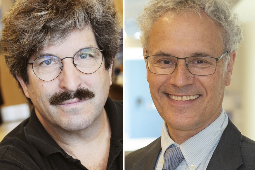 This combo of pictures released by Mass General and UMass show American molecular biologist Gary Ruvkun, left, and UMass Chair in Natural Sciences and professor of molecular medicine, Victor Ambros. ( ...
