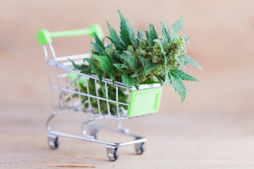 Combien va coûter le cannabis suisse une fois légalisé?