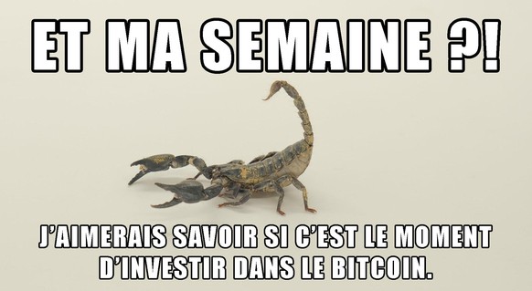 La semaine des Scorpion