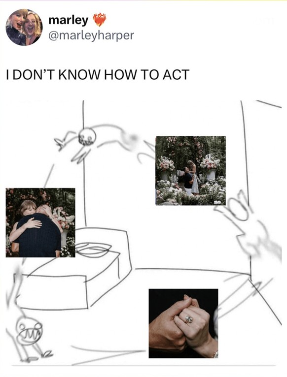 Taylor Swift Engagement Memes
