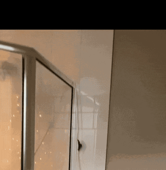 GIF animé