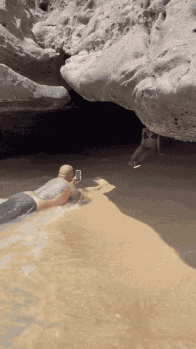 GIF animé
