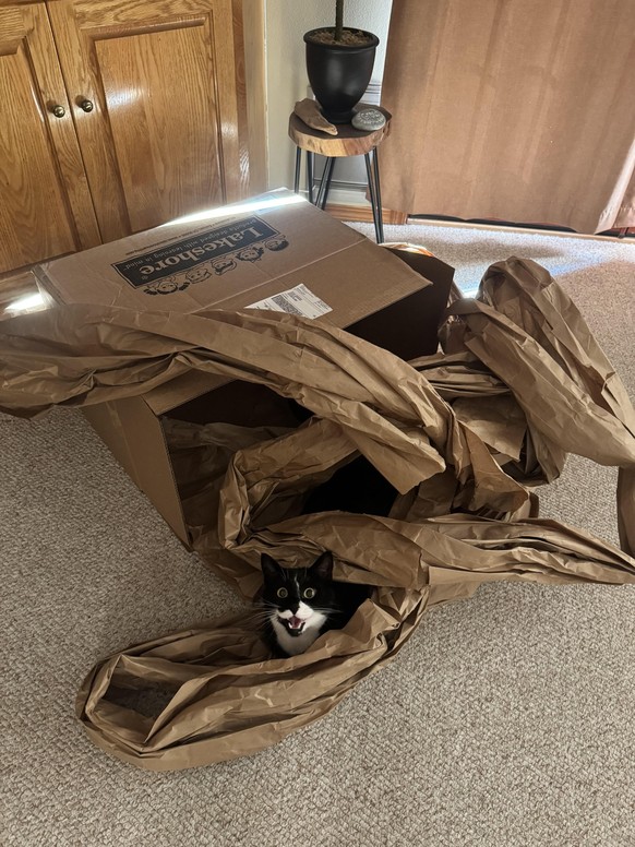cute news tier katze

https://www.reddit.com/r/aww/comments/1v7pgwr/the_happiest_cat_alive/
