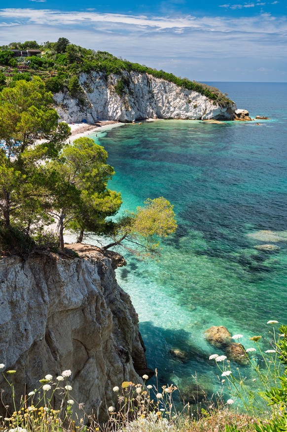 Aerial view of Capo Bianco beach, Elba Island, Livorno, Tuscany, Italy