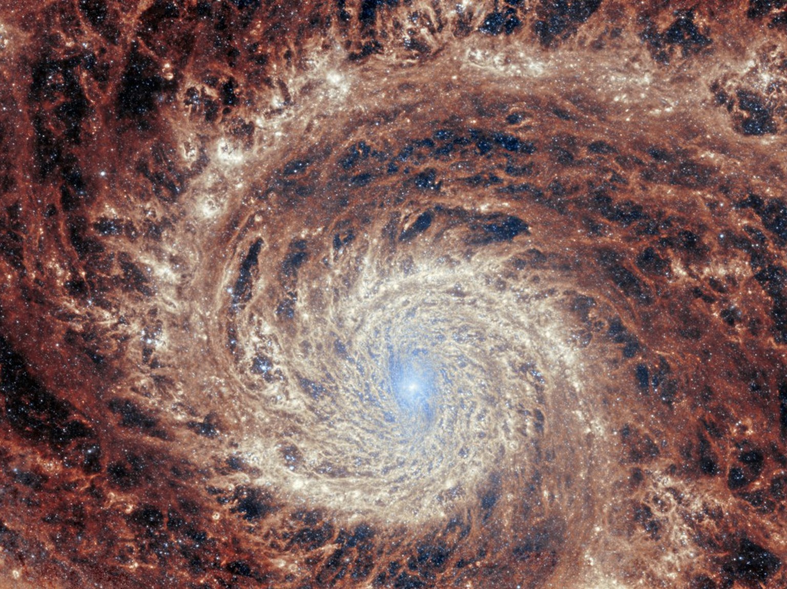 La galaxie M51 prise en photo par James Webb.
