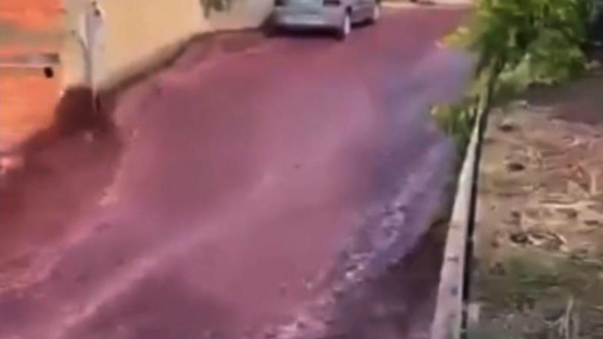 2 milhões de litros de vinho tinto inundam uma aldeia