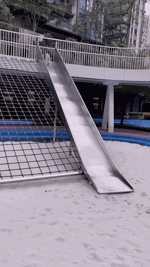 GIF animé