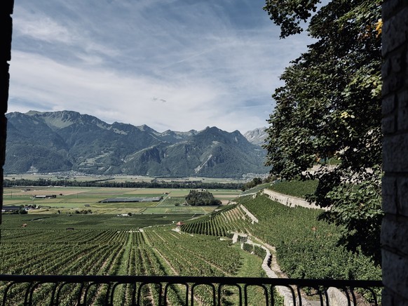Le Clos du Rocher, à Yvorne dans le Chablais vaudois, a une histoire assez spectaculaire: son terroir est indirectement né d’une catastrophe naturelle.