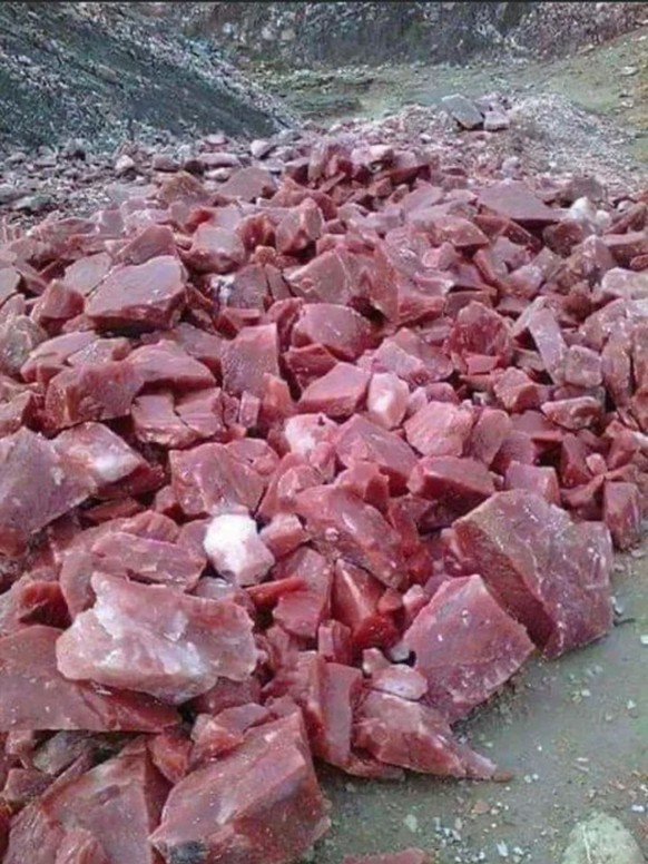 Optische Täuschung: Salz statt Fleisch