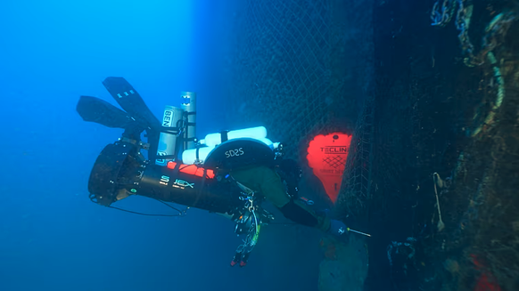 Des plongeurs filment le premier grand requin blanc en Méditerranée