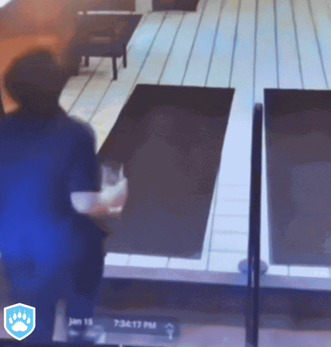 GIF animé