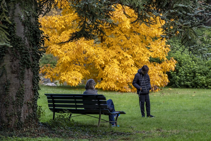 Des personnes son photographies a coter d'un arbre aux couleurs de l'automne au Jardin botanique, ce dimanche 18 octobre 2020 a Geneve. (KEYSTONE/Martial Trezzini)