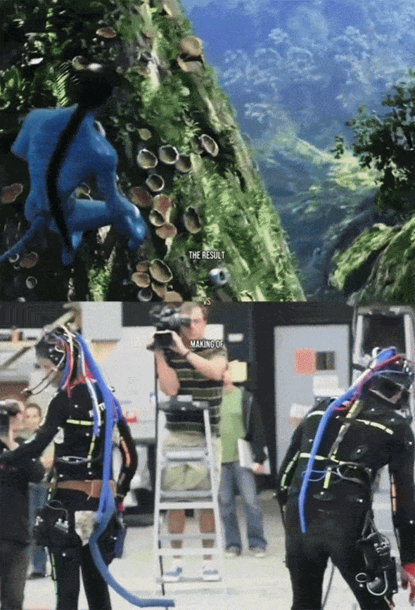 GIF animé