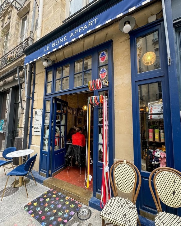 Le Bone Appart, un café pour chiens à Paris.
