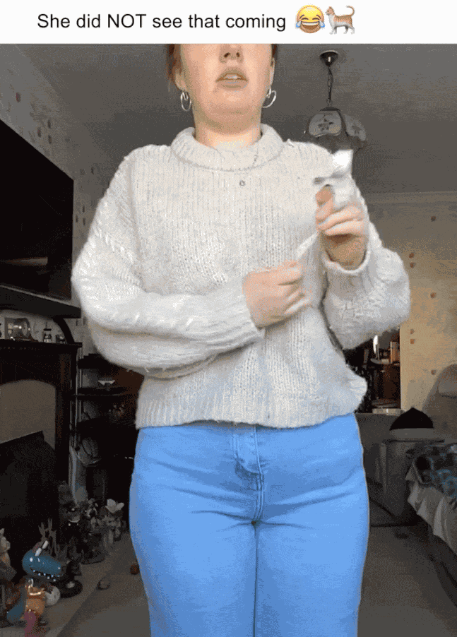 GIF animé