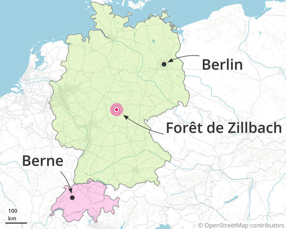 Tout n&#039;est que greenwashing? La Poste continue de faire l&#039;objet de critiques après l&#039;achat de la forêt de Zillbach, en Thuringe, en Allemagne.