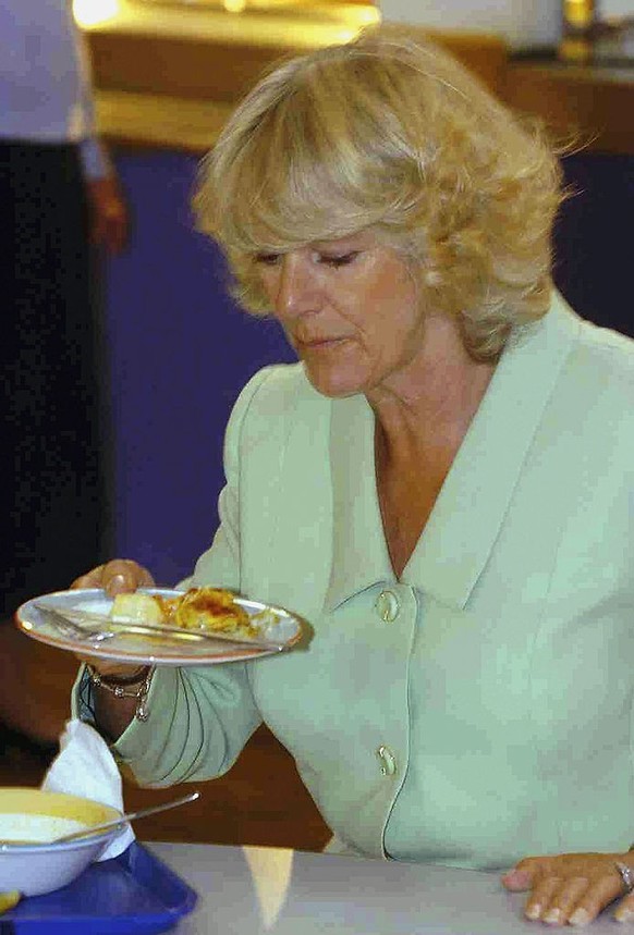 KILMARNOCK, SCOTLAND - JUNE 21: (NO UK SALES FOR 28 DAYS) The Duchess of Rothesay is pictured during a visit to Hurlford Primary School on June 21, 2005 in Kilmarnock, Scotland. The Duke and Duchess e ...