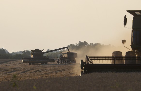 Cinq pays de l'UE ont interdit les importations de céréales ukrainiennes.