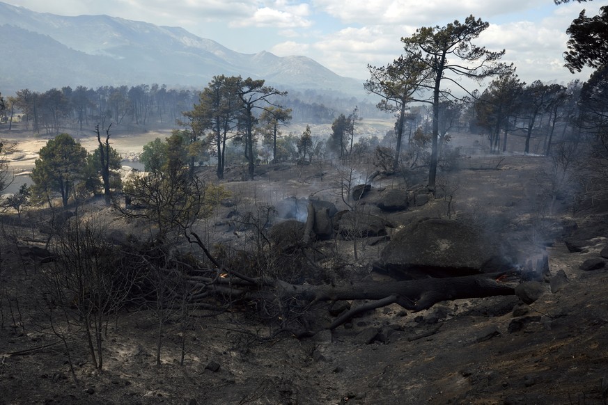 epa13131770 A forest fire burns near the village of Burgohonfo, Avila province, central Spain, 25 July 2026. This fire has burnt 15.000 hectares and more that 5.000 inhabitans have been forced to evac ...
