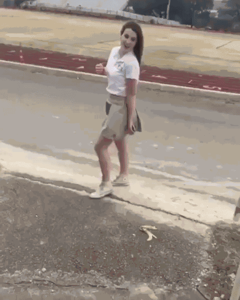 GIF animé