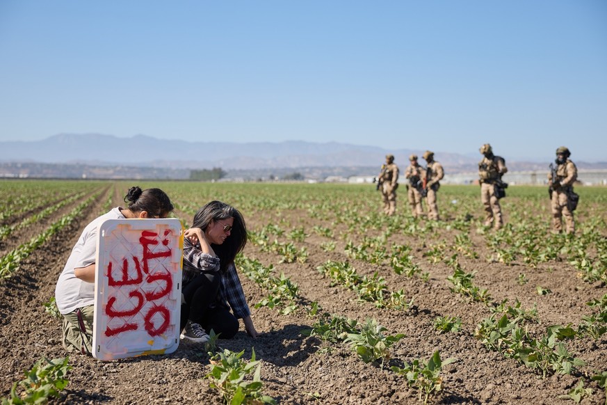 epa12230853 Protestors get emotional in a field as federal immigration officials carry out raids on two southern California cannabis farms in Camarillo, California, USA, 10 July 2025. On 8 July 2025,  ...