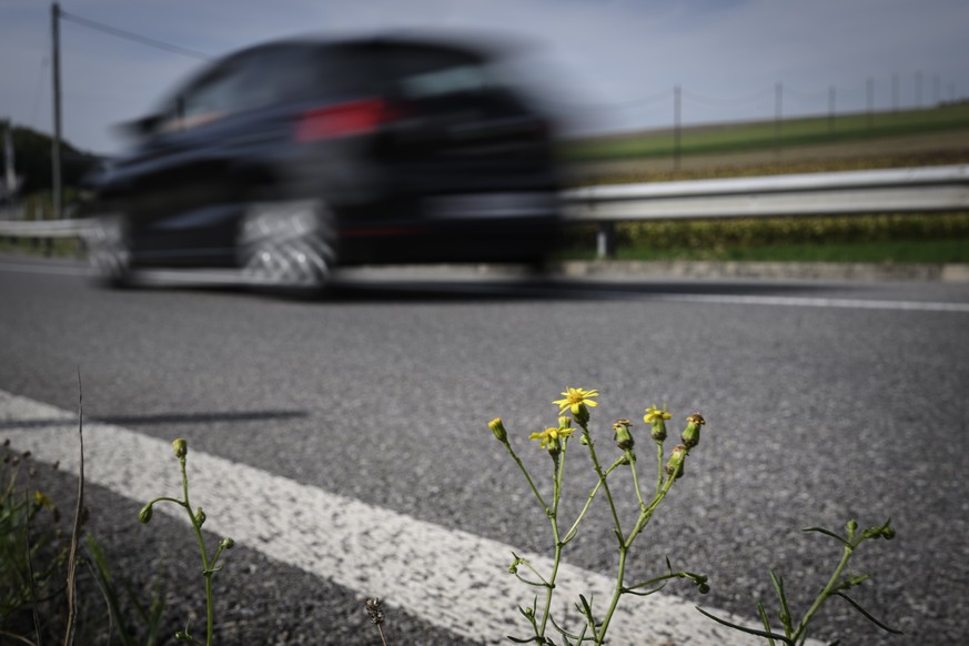 Une zone vegetalisee en bordure d&#039;autoroute est vue lors d&#039;une conference de presse ayant pour but d&#039;expliquer sur le terrain, l&#039;?investissement concret et responsable de la Confed ...