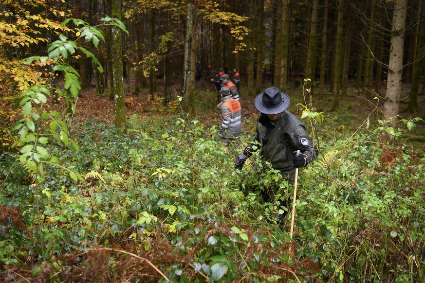 Un garde-faune et des membres de la protection civile inspectent la foret pendant une battue lors d&#039;un exercice national contre la peste porcine africaine, ce mercredi 3 novembre 2021, dans la fo ...