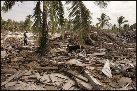 THAILAND - DECEMBER 29: Khao Lak&#039;S Hotel Sofitel Devastated By Tidal Wave That Struck Seven Countries After Powerful Dec. 26 Earthquake Off Sumatra. On December 29, 2004 In Khao Lak, Thailande Ge ...