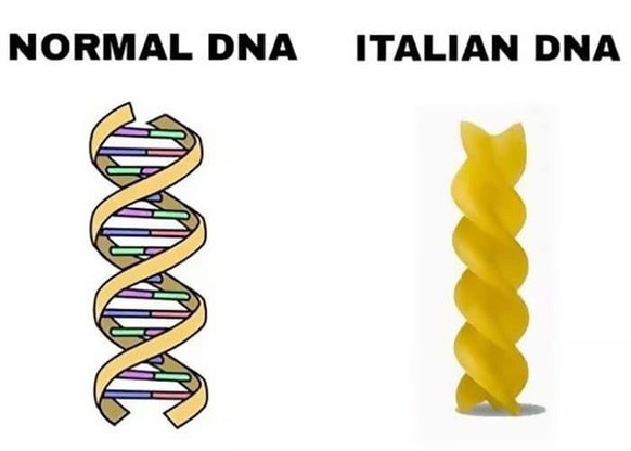 italienische dna