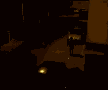 GIF animé