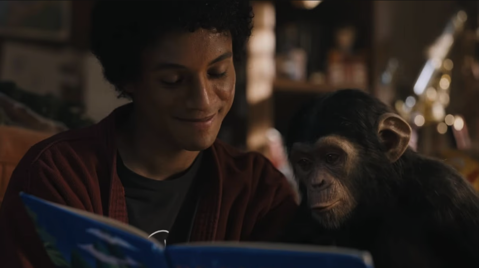 En 1983, Michael Jackson a adopté Bubbles, un bébé chimpanzé provenant d'un centre de recherche.