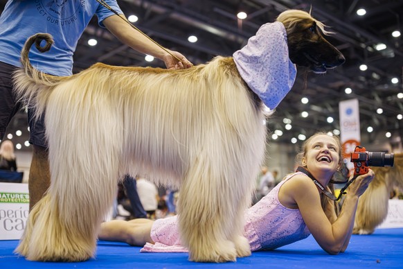 A woman smiles at her dog as she takes pictures during the "world dog show 2023" competiton in Geneva, Switzerland, Saturday, August 26, 2023. Participants from 80 countires are presenting o ...