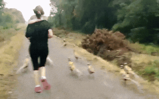 GIF animé