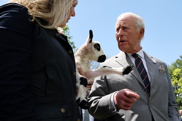 A Kerry Hill Welsh lamb, which was just born, is shown to Britain's King Charles III during a parade and block party Thursday, April 30, 2026 in Front Royal, Va. (Win McNamee/Pool Photo via AP)
C ...