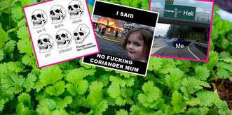23 mèmes pour ceux qui détestent la coriandre (bande de fragiles)