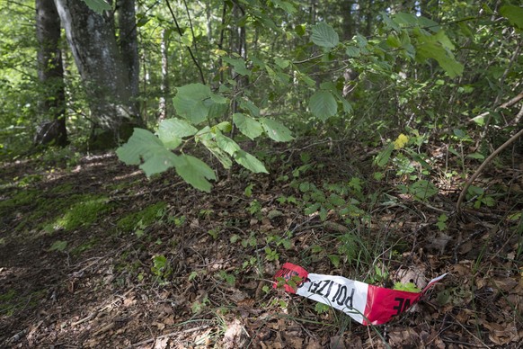 Ein Polizeiabsperrband liegt auf dem Waldboden im Zusammenhang mit dem ersten Einsatz der Todeskapsel �Sarco� der Sterbehilfsorganisation �The Last Resort�, aufgenommen am Mittwoch, 25. September 2024 ...