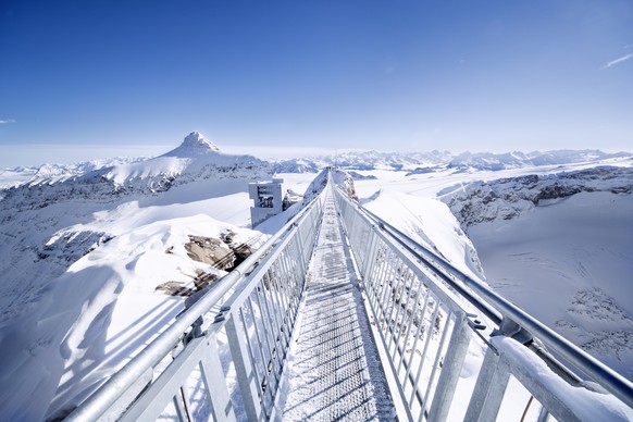 Panorama sur les Alpes depuis le Peak Walk by Tissot.